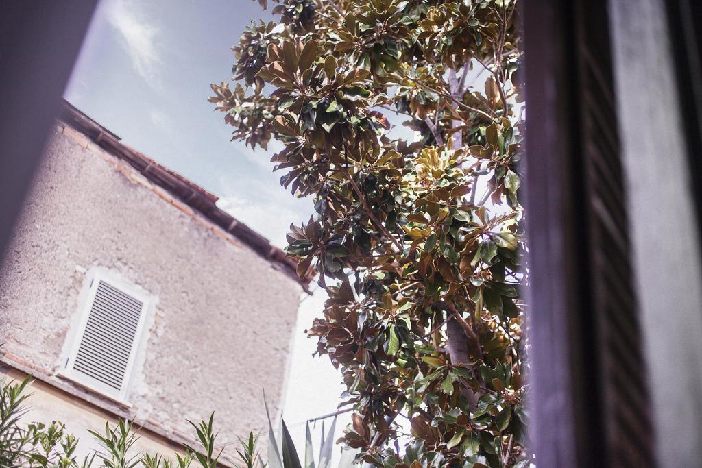 Trasteverehome - Peretti Roma Dış mekan fotoğraf
